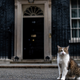 Illustration for article titled Make the Cat Prime Minister